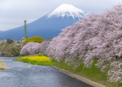 destination image